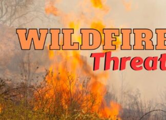 Vallecitos Prepares Comprehensive Strategy for Fire Season