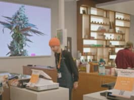 California Cannabis Corridor Episode 4 : Tradecraft Farms Dispensary