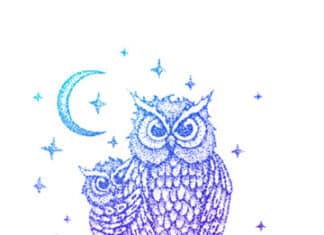 Night Owls Meet July 26th – The Woman’s Club of Vista GFWC