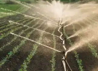 Fallbrook, Rainbow Water ‘Divorce’ Approved by County Commission