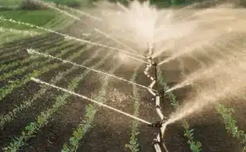 Fallbrook, Rainbow Water ‘Divorce’ Approved by County Commission