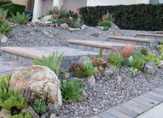 Free Landscape Workshops Convenient for Vallecitos Customers