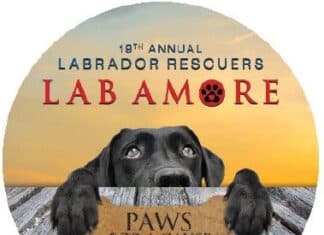 19th Annual Lab Amore Fundraiser Benefiting Labrador Rescuers