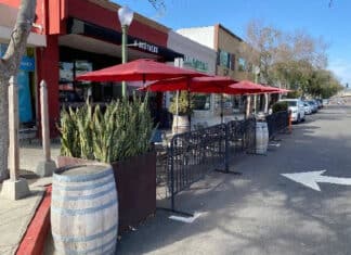City of Escondido Parklet Survey