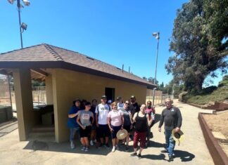 Solutions for Change Continues Serve to Solve Projects