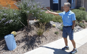 Vallecitos Water District 2023 Landscape Makeover Winners Find Inspiration