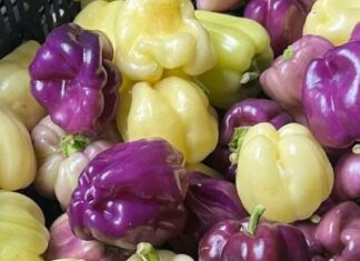 Farm Freshness At Its Very Best!