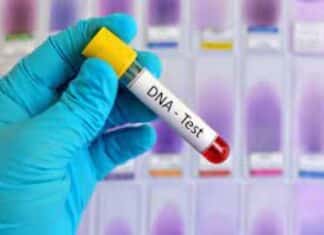 DNA Testing at the Border