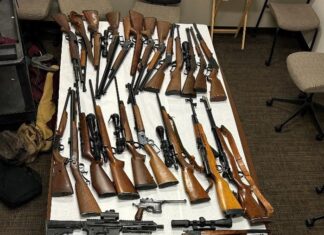 Search Warrant – Potrero Two Arrested, More than 50 Firearms Seized.
