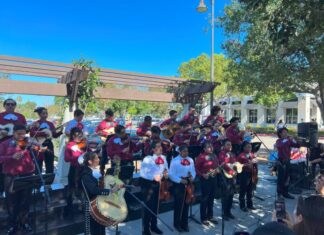 19th Annual Vista Unified School District Festival of the Arts: A Day of Creativity and Community