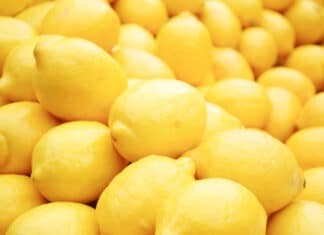 Agriculture Flourishes in New Crop Report, Nears $1.8 Billion