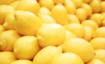 Agriculture Flourishes in New Crop Report, Nears $1.8 Billion