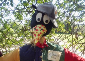 Free Fun Festival Alta Vista Botanical Gardens Next Saturday