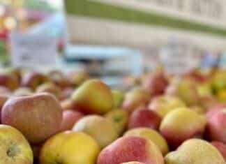 An Apple A Day . . .