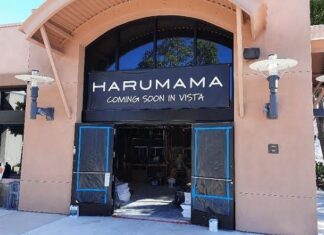 Harumama Noodles + Buns + Sushi Set to Open in Vista Later This Year