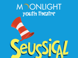 Moonlight Youth Theatre Offers Unique Internship Program