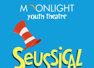 Moonlight Youth Theatre Offers Unique Internship Program