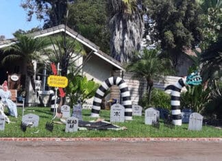 What do You Really Know About Halloween?