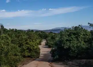 SoCal’s Water Wars Threatened to Tear San Diego Apart