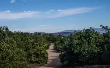 SoCal’s Water Wars Threatened to Tear San Diego Apart