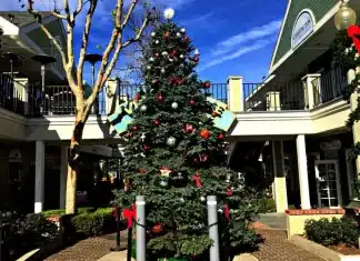 DON’T MISS THE 38TH ANNUAL ROTARY HOLIDAY TREE LIGHTING!