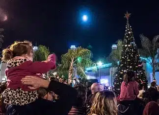 Oceanside Holiday Tree Lighting Dec 7th