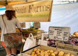 Comfort Food At Its Finest