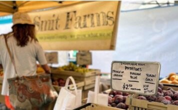 Comfort Food At Its Finest
