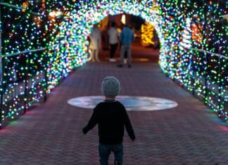 Jingle Terrace Live Admission and all Activities are Free!