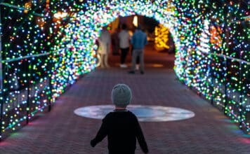 Jingle Terrace Live Admission and all Activities are Free!