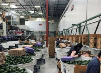 Escondido AgTech Industry