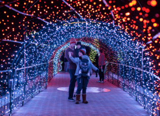 “Jingle Terrace Live” Lights Up The Moonlight Starting Friday