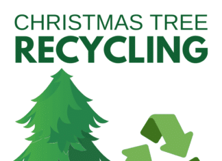 Escondido Christmas Tree Recycling Information