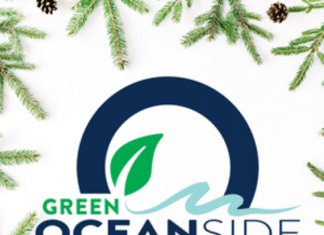 An Evergreen Guide to the Holiday Season