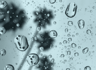 Rainy Season Preparedness Oceanside