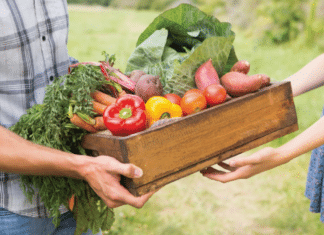 Oceanside’s SB 1383 Excess Edible Food Recovery Program