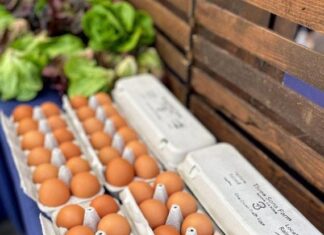 Pasture Raised Eggs Are Simply The Best