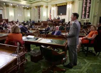 How Many Bills in the 2024 CA Legislature?