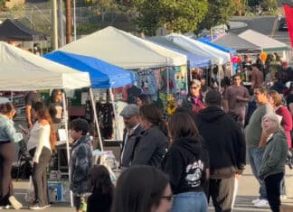 Vista’s First Chicano Art Festival “Exitoso”