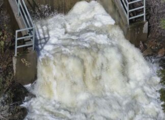 City of San Diego Releases 600 Million Gallons of Water from Lake Hodges