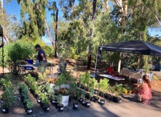 Earth Day Festival at Alta Vista Botanical Gardens – CALL for VENDORS