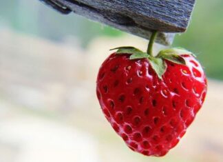 Happy Valentines Day!