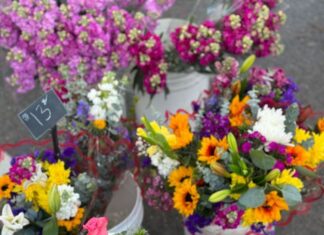 Eager For Springtime