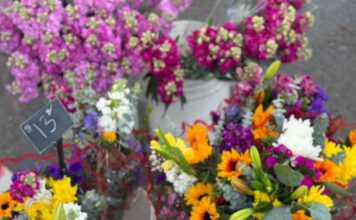 Eager For Springtime