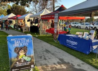 Humane Society Walk for Animals