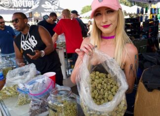 Cannabis Consumption Events on Private Property are Coming to Vista!