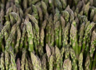 Spring Bounty Has Arrived at the State Street Farmers Market