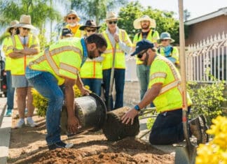 City of Escondido will Celebrate Arbor Day