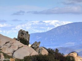 Escondido Creek Conservancy’s ‘Stunning’ Preserve