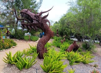 Alta Vista Botanical Gardens Once Again Hosts a Successful Earth Day Celebration